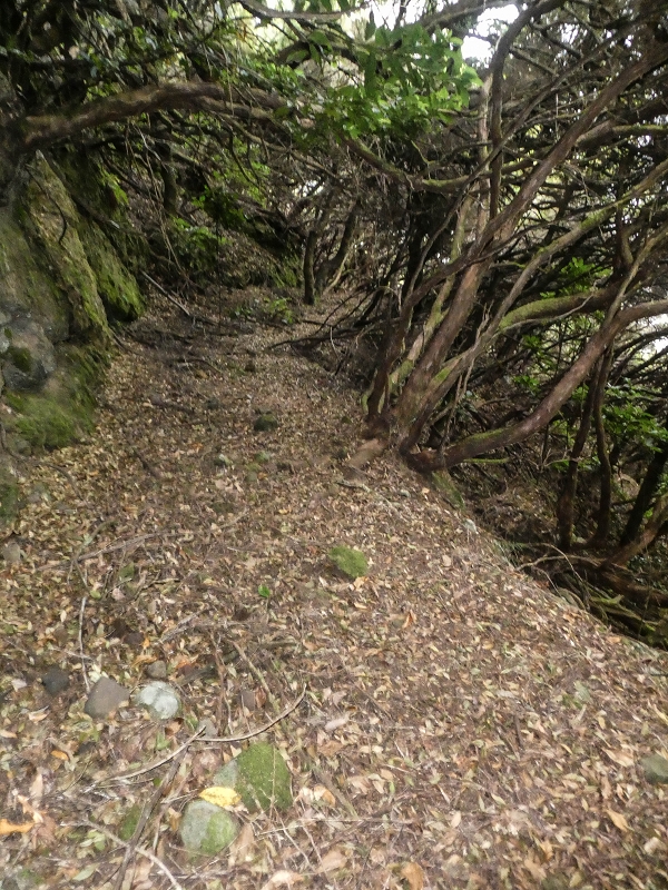 06.08.2021 Auf Entdeckungstour im Rabaçalgebiet: Tunel Vieira de Castro und Levada da Senhora — Weiterabstieg über Bachbett — Foto 5