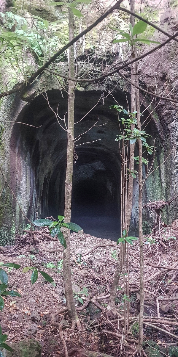 06.08.2021 Auf Entdeckungstour im Rabaçalgebiet: Tunel Vieira de Castro und Levada da Senhora — Tunel Vieira de Castro — Foto 1