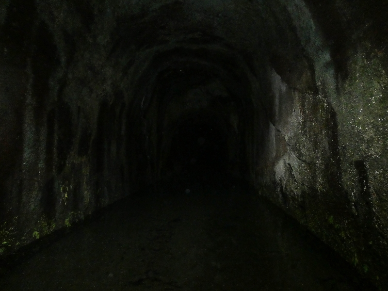 06.08.2021 Auf Entdeckungstour im Rabaçalgebiet: Tunel Vieira de Castro und Levada da Senhora — Tunel Vieira de Castro — Foto 2