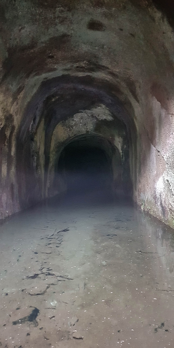 06.08.2021 Auf Entdeckungstour im Rabaçalgebiet: Tunel Vieira de Castro und Levada da Senhora — Tunel Vieira de Castro — Foto 3