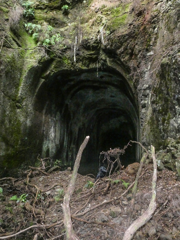 06.08.2021 Auf Entdeckungstour im Rabaçalgebiet: Tunel Vieira de Castro und Levada da Senhora — Tunel Vieira de Castro — Foto 4