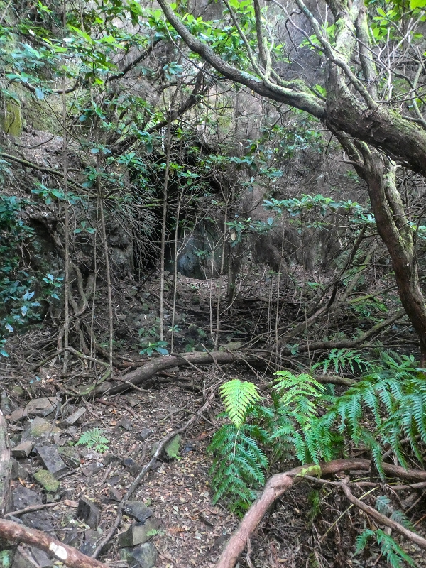 06.08.2021 Auf Entdeckungstour im Rabaçalgebiet: Tunel Vieira de Castro und Levada da Senhora — Tunel Vieira de Castro — Foto 7
