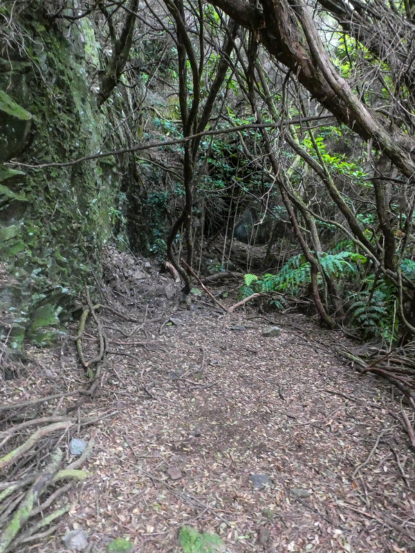 06.08.2021 Auf Entdeckungstour im Rabaçalgebiet: Tunel Vieira de Castro und Levada da Senhora — Wiederaufstieg zur Levada do Furado Velho — Foto 1