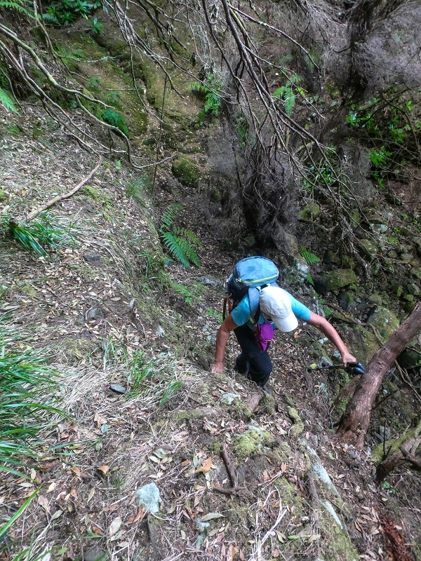 06.08.2021 Auf Entdeckungstour im Rabaçalgebiet: Tunel Vieira de Castro und Levada da Senhora — Wiederaufstieg zur Levada do Furado Velho — Foto 4