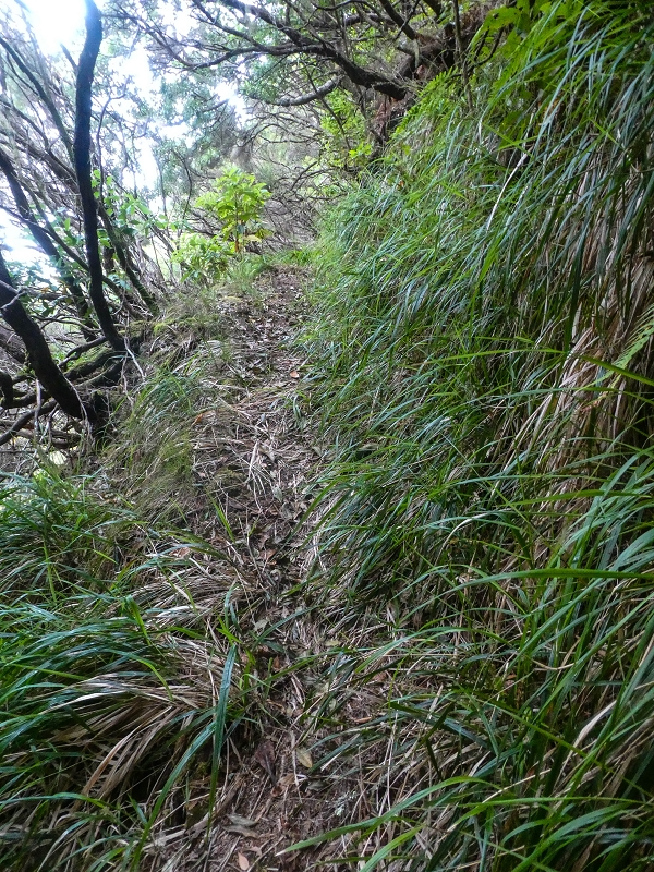 06.08.2021 Auf Entdeckungstour im Rabaçalgebiet: Tunel Vieira de Castro und Levada da Senhora — Wiederaufstieg zur Levada do Furado Velho — Foto 6