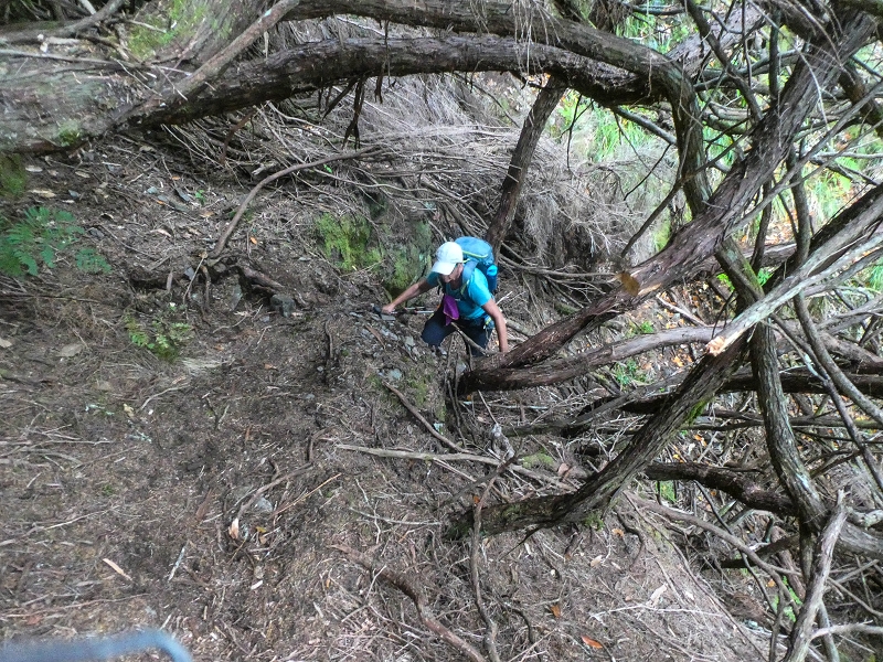 06.08.2021 Auf Entdeckungstour im Rabaçalgebiet: Tunel Vieira de Castro und Levada da Senhora — Wiederaufstieg zur Levada do Furado Velho — Foto 7