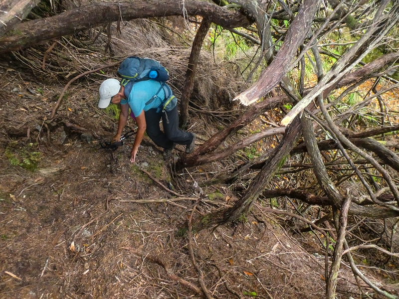 06.08.2021 Auf Entdeckungstour im Rabaçalgebiet: Tunel Vieira de Castro und Levada da Senhora — Wiederaufstieg zur Levada do Furado Velho — Foto 8