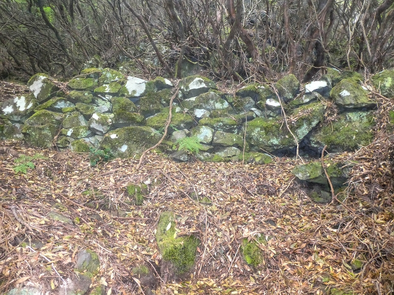 06.08.2021 Auf Entdeckungstour im Rabaçalgebiet: Tunel Vieira de Castro und Levada da Senhora — Wiederaufstieg zur Levada do Furado Velho — Foto 13