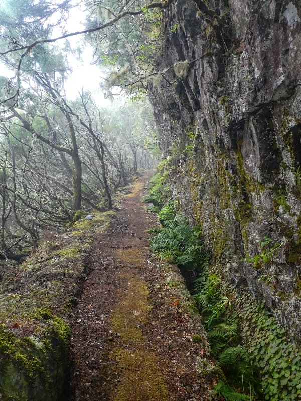 06.08.2021 Auf Entdeckungstour im Rabaçalgebiet: Tunel Vieira de Castro und Levada da Senhora — Weiter auf der Levada do Furado Velho — Foto 1