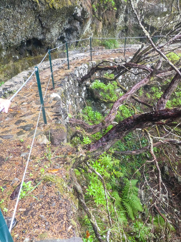 06.08.2021 Auf Entdeckungstour im Rabaçalgebiet: Tunel Vieira de Castro und Levada da Senhora — Weiter auf der Levada do Furado Velho — Foto 3