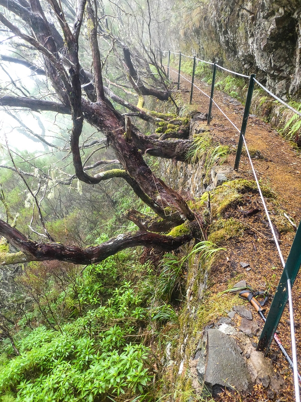 06.08.2021 Auf Entdeckungstour im Rabaçalgebiet: Tunel Vieira de Castro und Levada da Senhora — Weiter auf der Levada do Furado Velho — Foto 4
