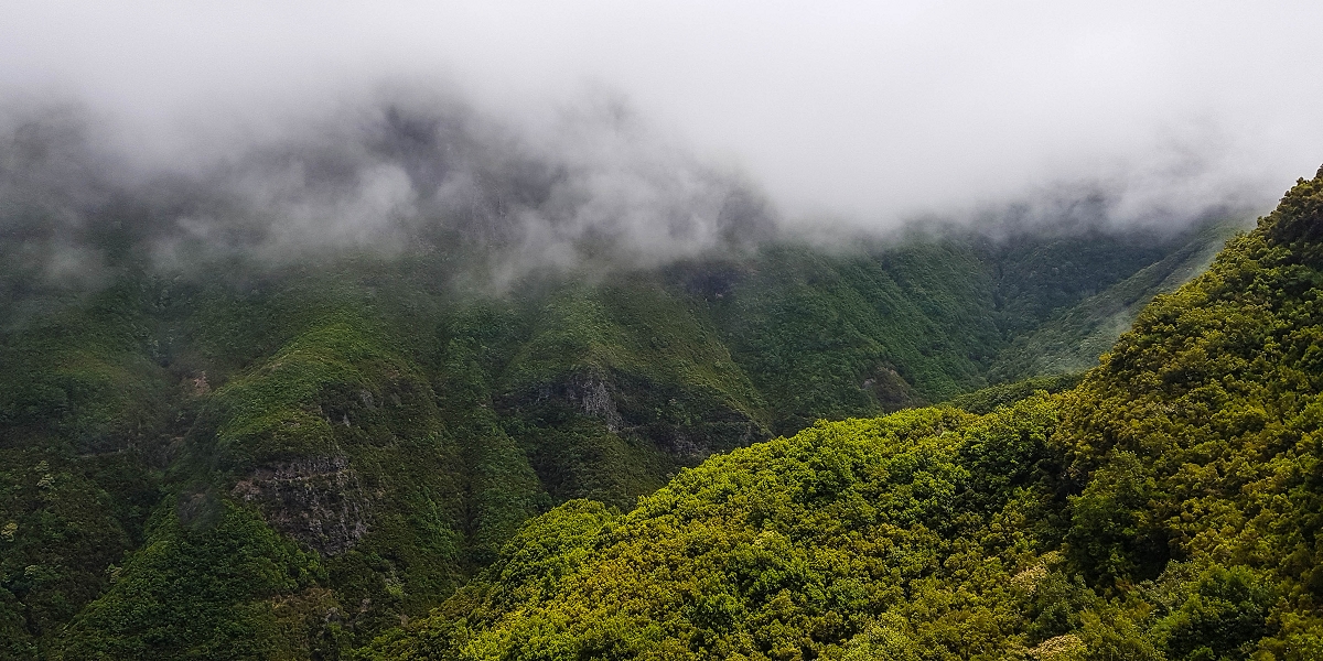 06.08.2021 Auf Entdeckungstour im Rabaçalgebiet: Tunel Vieira de Castro und Levada da Senhora — Weiter auf der Levada do Furado Velho — Foto 5