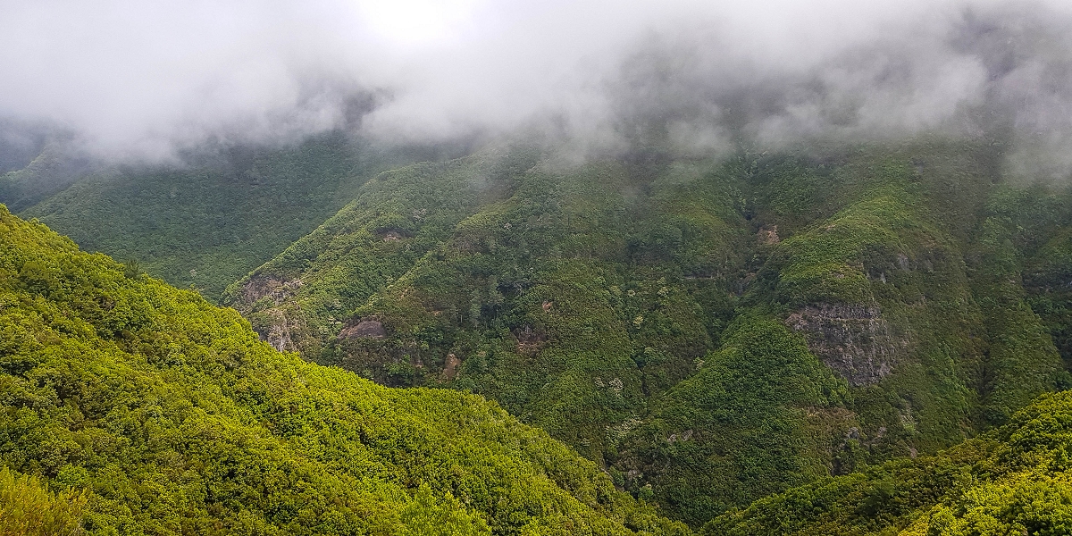 06.08.2021 Auf Entdeckungstour im Rabaçalgebiet: Tunel Vieira de Castro und Levada da Senhora — Weiter auf der Levada do Furado Velho — Foto 6
