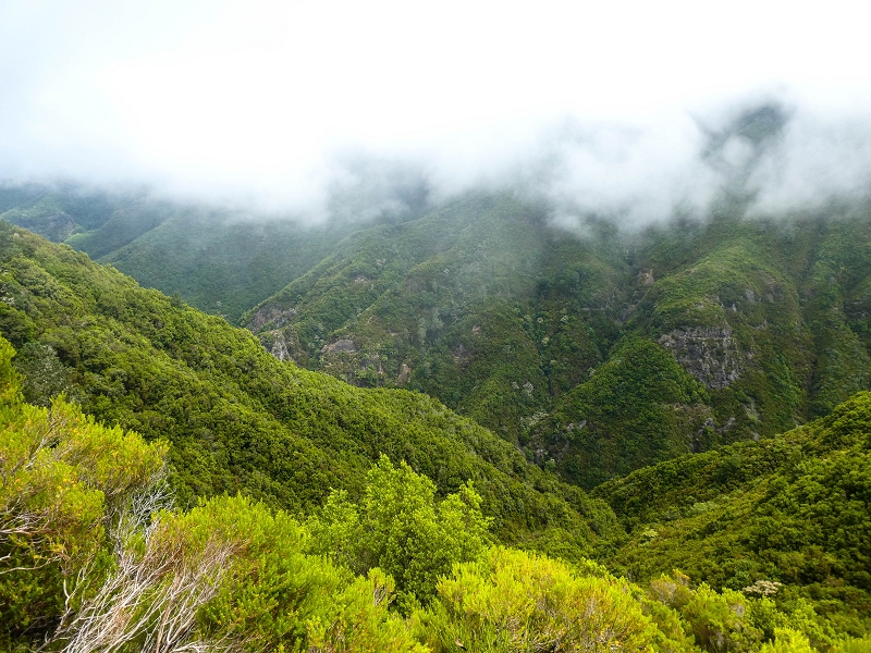 06.08.2021 Auf Entdeckungstour im Rabaçalgebiet: Tunel Vieira de Castro und Levada da Senhora — Weiter auf der Levada do Furado Velho — Foto 8