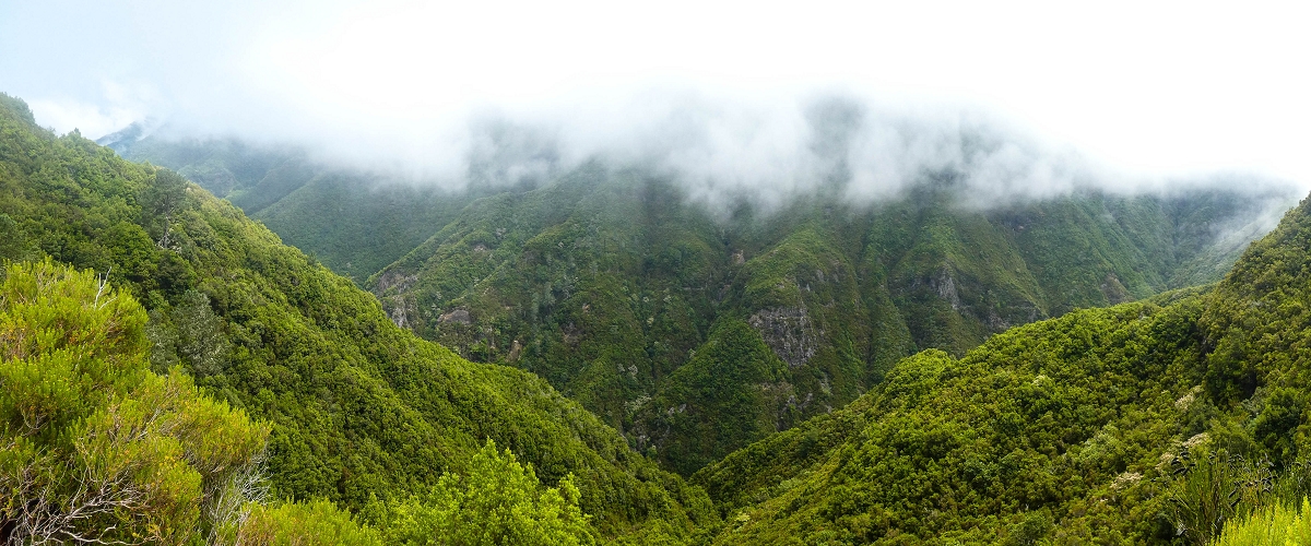 06.08.2021 Auf Entdeckungstour im Rabaçalgebiet: Tunel Vieira de Castro und Levada da Senhora — Weiter auf der Levada do Furado Velho — Foto 9