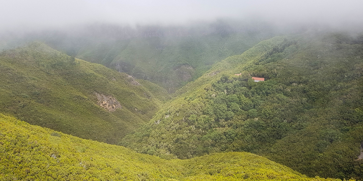 06.08.2021 Auf Entdeckungstour im Rabaçalgebiet: Tunel Vieira de Castro und Levada da Senhora — Weiter auf der Levada do Furado Velho — Foto 15