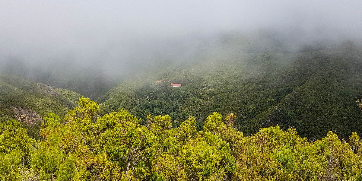 Levada da Senhora (Estreito da Calheta) — Abschnitt 6 — Foto 22