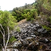 06.08.2021 Auf Entdeckungstour im Rabaçalgebiet: Tunel Vieira de Castro und Levada da Senhora — Auf der Levada da Senhora — Foto 7