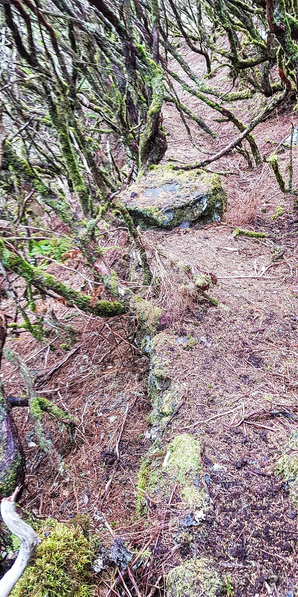 06.08.2021 Auf Entdeckungstour im Rabaçalgebiet: Tunel Vieira de Castro und Levada da Senhora — Auf der Levada da Senhora — Foto 8