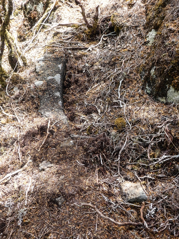 06.08.2021 Auf Entdeckungstour im Rabaçalgebiet: Tunel Vieira de Castro und Levada da Senhora — Weiter auf der Levada da Senhora — Foto 1