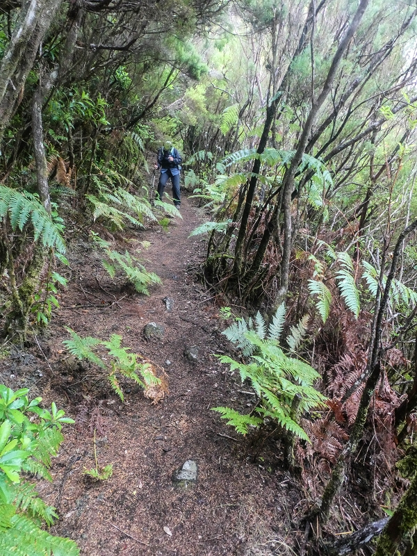 06.08.2021 Auf Entdeckungstour im Rabaçalgebiet: Tunel Vieira de Castro und Levada da Senhora — Abstieg zum Furado Velho und weiter auf der Levada do Furado Velho — Foto 2