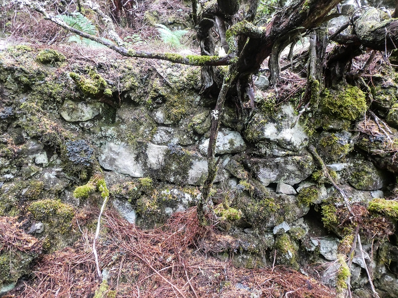 06.08.2021 Auf Entdeckungstour im Rabaçalgebiet: Tunel Vieira de Castro und Levada da Senhora — Spuren der Levada dos Moinhos — Foto 4
