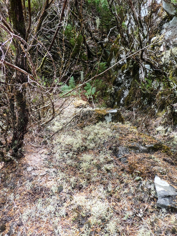 06.08.2021 Auf Entdeckungstour im Rabaçalgebiet: Tunel Vieira de Castro und Levada da Senhora — Auf der Levada da Senhora — Foto 5