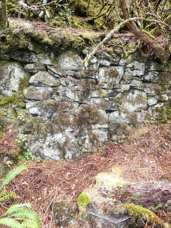 06.08.2021 Auf Entdeckungstour im Rabaçalgebiet: Tunel Vieira de Castro und Levada da Senhora — Spuren der Levada dos Moinhos — Foto 5