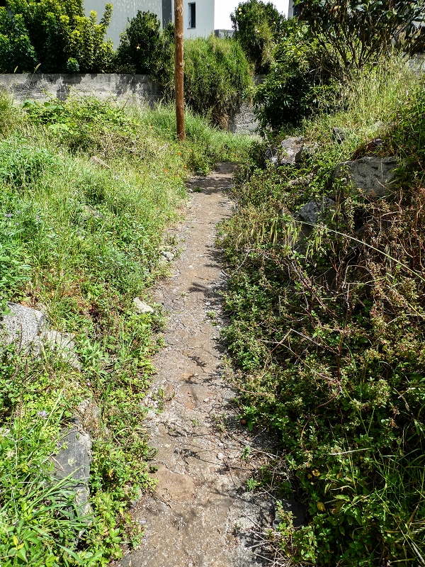 7 May 2019 Circular walk on two levadas around Machico — To the Ribeira Seca and the intermediate intake — photo 10
