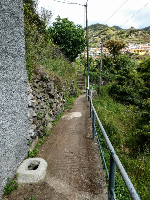 Levada do Desembarcadouro — Abschnitt 4 — Foto 1