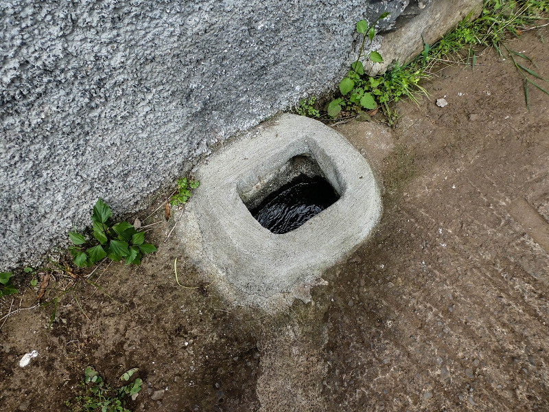 7 May 2019 Circular walk on two levadas around Machico — To the Ribeira Seca and the intermediate intake — photo 12