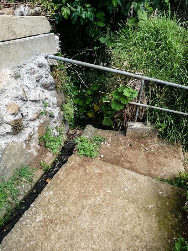 Levada do Desembarcadouro — Abschnitt 3 — Foto 12
