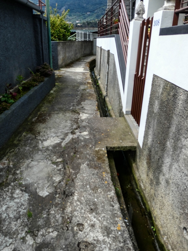 7 May 2019 Circular walk on two levadas around Machico — The second section in Ribeira Seca — photo 4