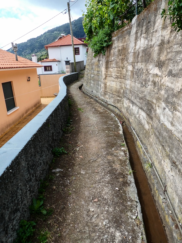 Levada do Desembarcadouro — Abschnitt 3 — Foto 11