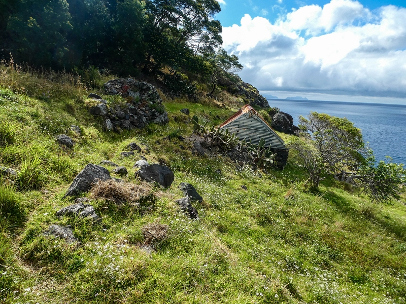 Levada do Desembarcadouro — Abschnitt 5 — Foto 1