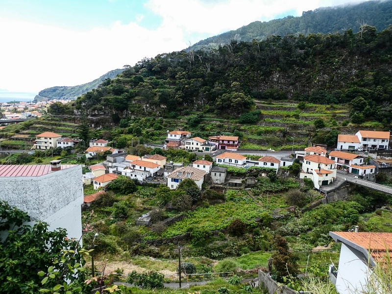 7 May 2019 Circular walk on two levadas around Machico — The second section in Ribeira Seca — photo 10