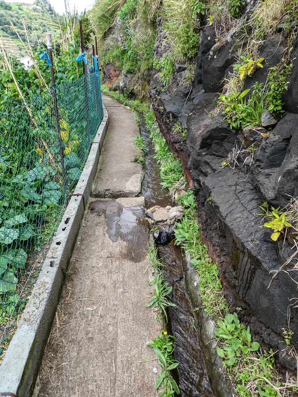 7 May 2019 Circular walk on two levadas around Machico — The second section in Ribeira Seca — photo 11