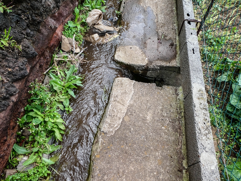 7 May 2019 Circular walk on two levadas around Machico — The second section in Ribeira Seca — photo 12