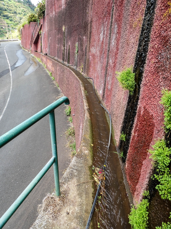 Levada do Desembarcadouro — Abschnitt 3 — Foto 10