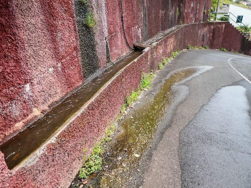 7 May 2019 Circular walk on two levadas around Machico — The second section in Ribeira Seca — photo 15