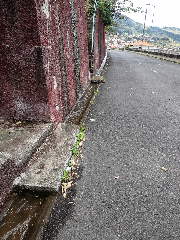 7 May 2019 Circular walk on two levadas around Machico — The second section in Ribeira Seca — photo 16