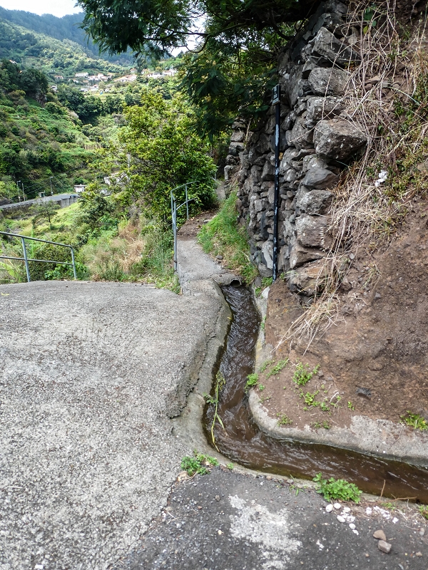 Levada do Desembarcadouro — Abschnitt 3 — Foto 9