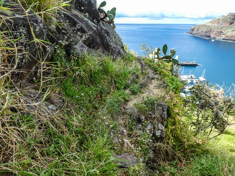 7 May 2019 Circular walk on two levadas around Machico — From Machico to the end at the cliff — photo 12