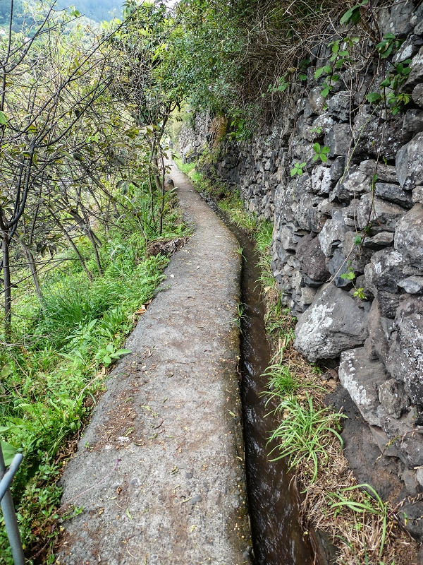 Levada do Desembarcadouro — Abschnitt 3 — Foto 7