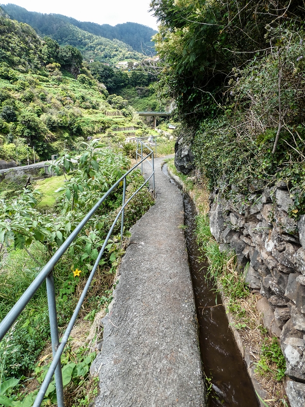 Levada do Desembarcadouro — Abschnitt 3 — Foto 8
