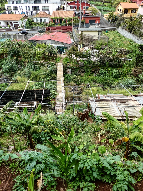 7 May 2019 Circular walk on two levadas around Machico — As far as the second intake — photo 7