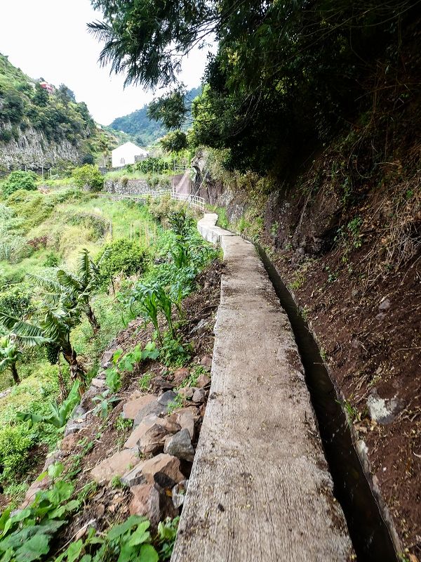 7 May 2019 Circular walk on two levadas around Machico — As far as the second intake — photo 8
