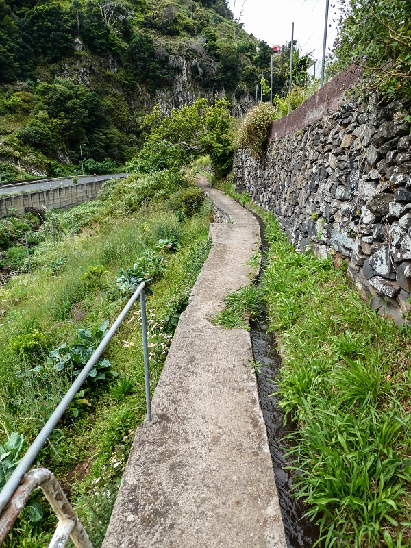 Levada do Desembarcadouro — Abschnitt 3 — Foto 3