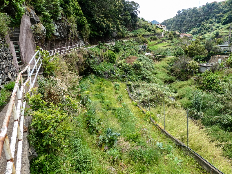 Levada do Desembarcadouro — Abschnitt 3 — Foto 4