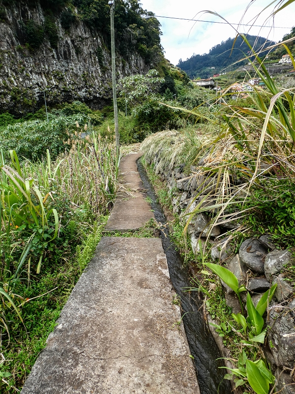 Levada do Desembarcadouro — Abschnitt 3 — Foto 6